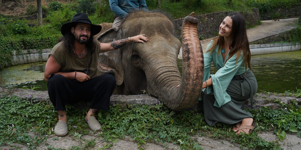Photo with an elephant