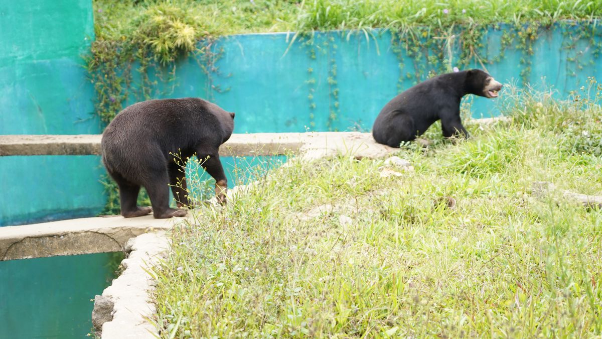 Tasta Zoo