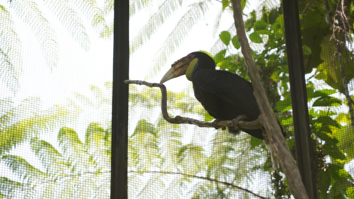 Tasta Zoo