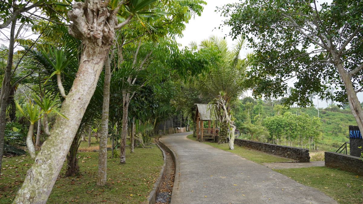 Tasta Zoo