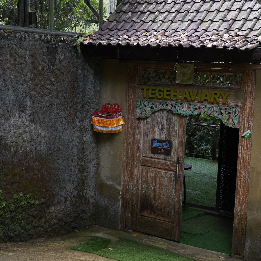 The aviary gate